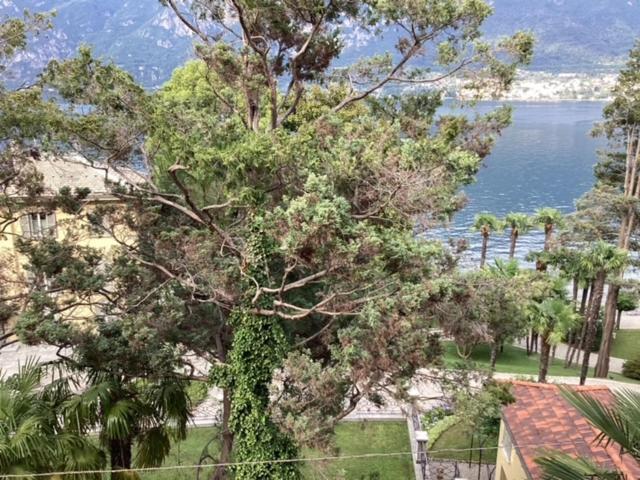Wonderful Lake Front Appartment Near Bellagio Limonta Екстер'єр фото
